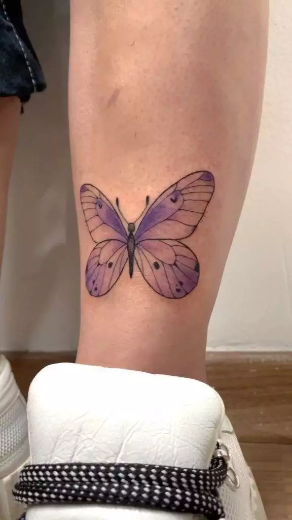 borboleta com detalhes coloridos