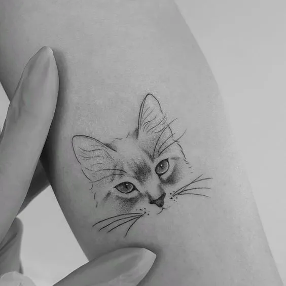 tattoo delicada gato