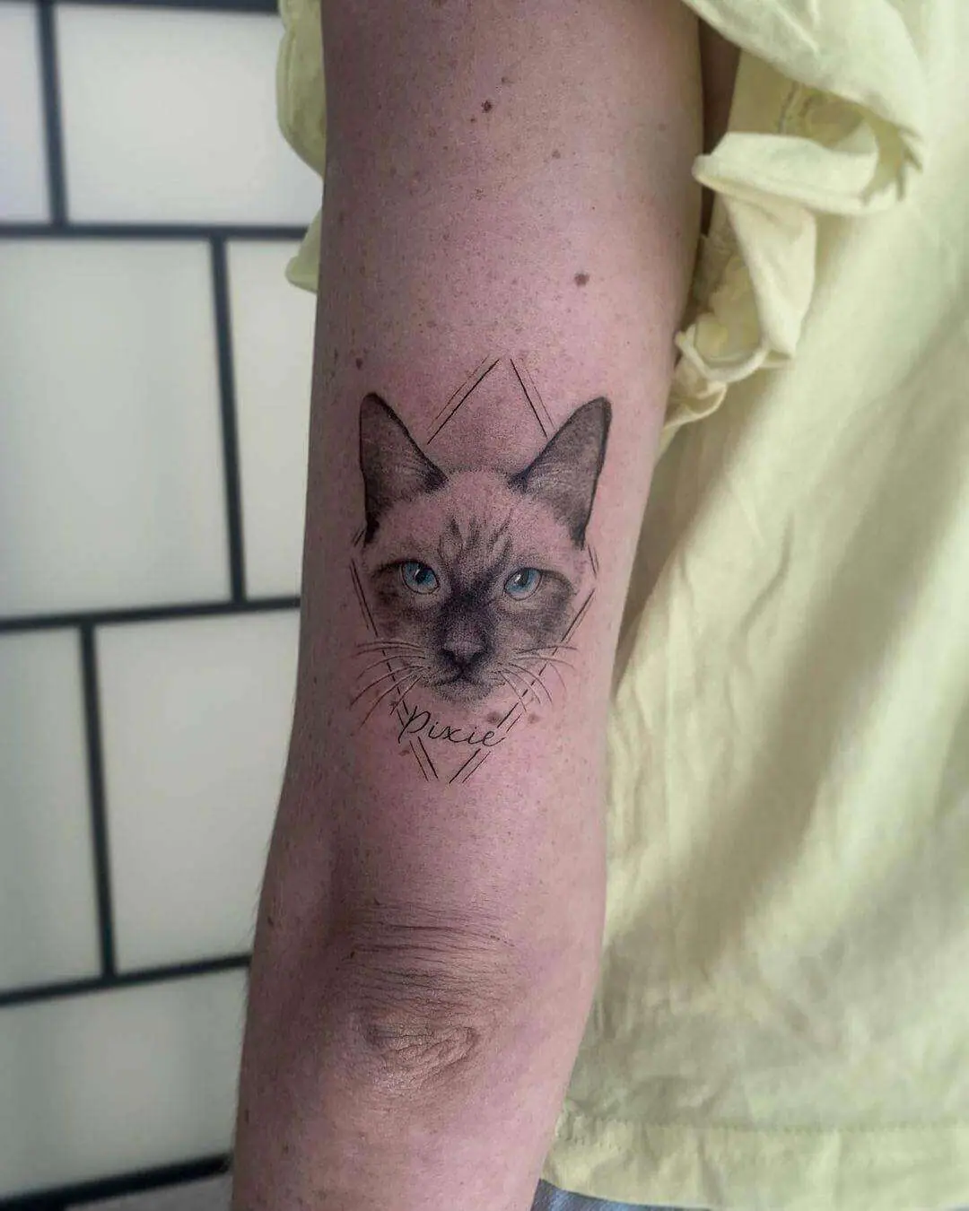 mini tattoo realista pet gato