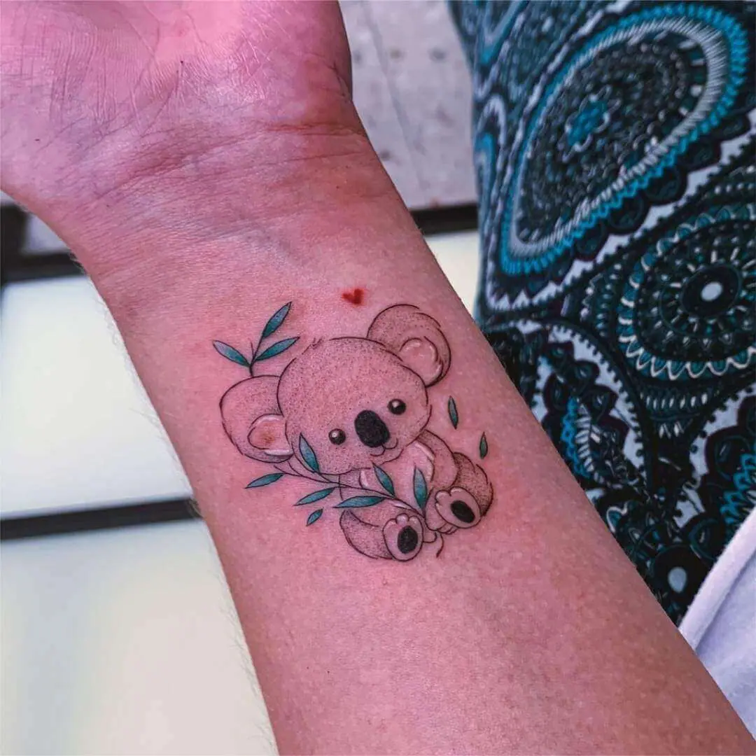 coala delicado e colorido