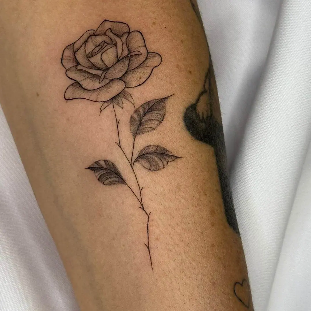 flor fineline
