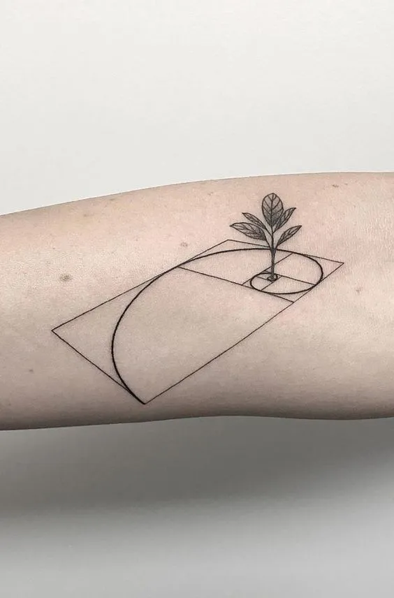 Tatuagem de uma planta dentro de uma sequência Fibonacci